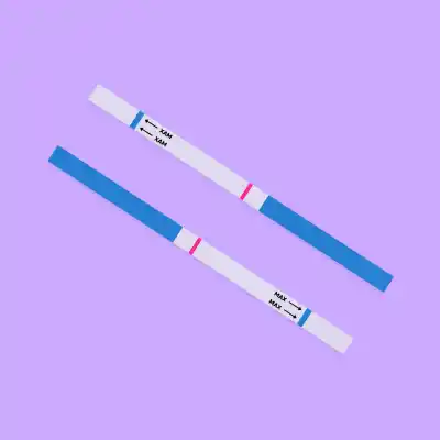 Free Online Pregnancy Tests You Can Try Just for Fun